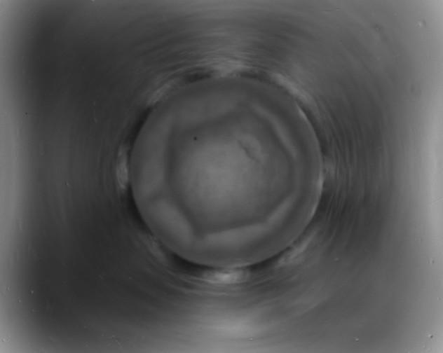 X0000088080479200706081733
