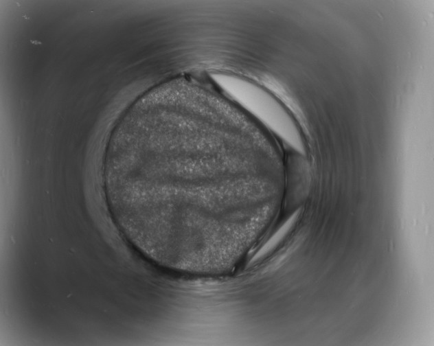 X0000088080481200706081733