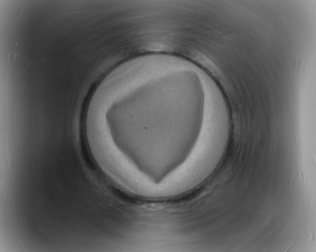 X0000088080482200706081732