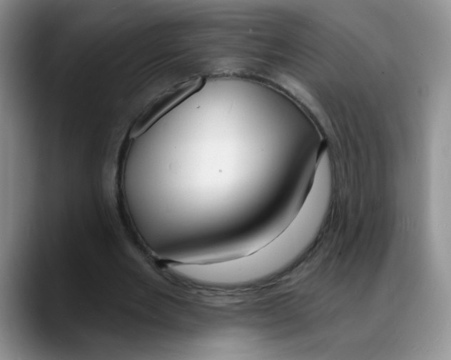 X0000088080485200706081732