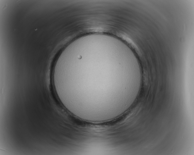 X0000088080486200706081732
