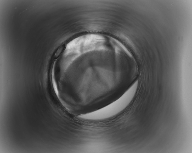 X0000088080488200706081732