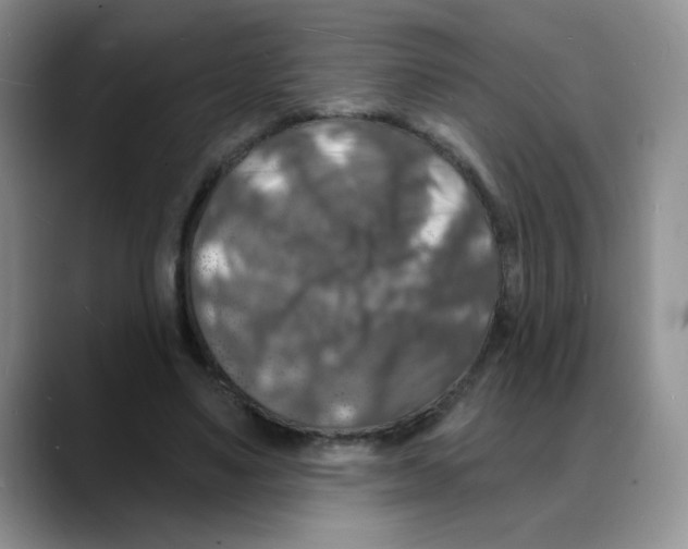 X0000088080491200706081732