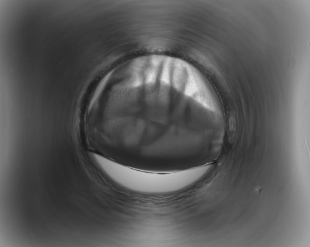 X0000088080492200706081732