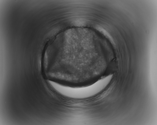 X0000088080493200706081732
