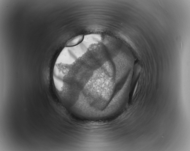 X0000088080494200706081732