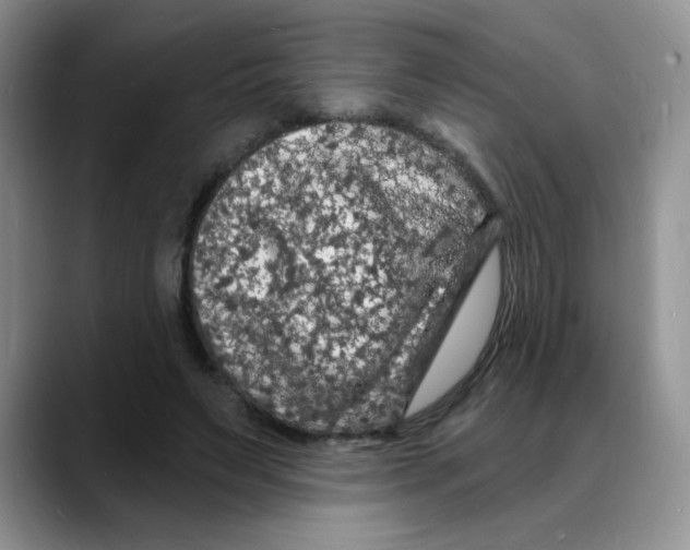 X0000088080495200706081732