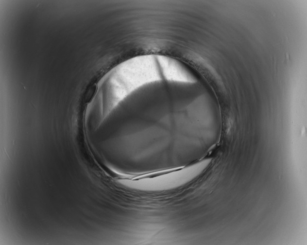 X0000088080496200706081732