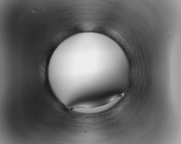 X0000088080497200706081732