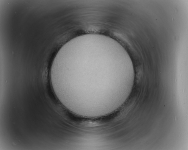 X0000088080498200706081732
