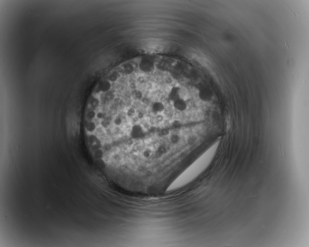 X0000088080499200706081732