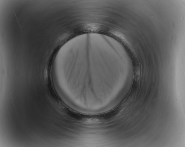 X0000088080500200706081732