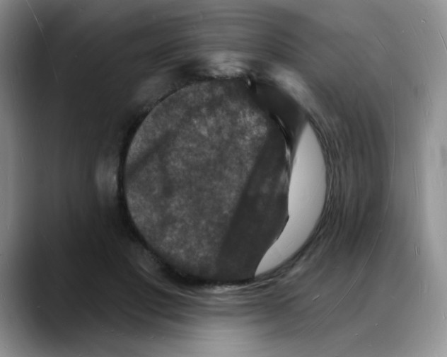 X0000088080501200706081732