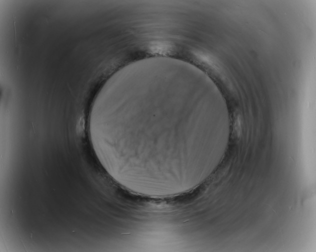 X0000088080502200706081732