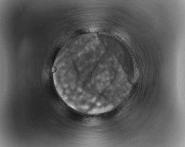 X0000088080503200706081732
