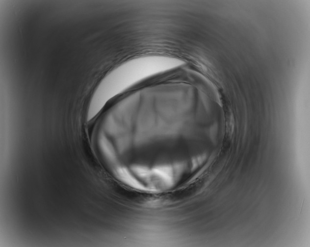 X0000088080504200706081732
