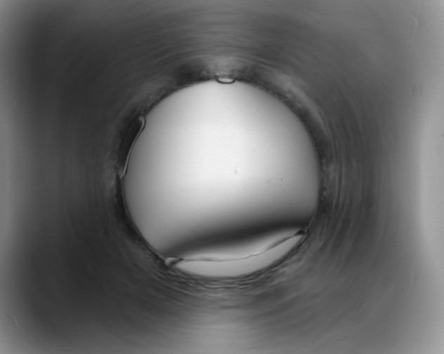 X0000088080505200706081732