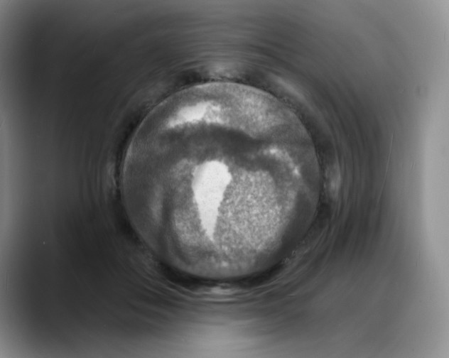 X0000088080506200706081732