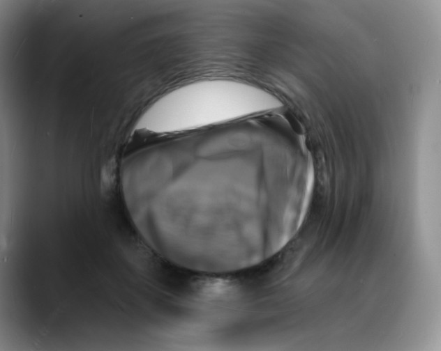 X0000088080507200706081732