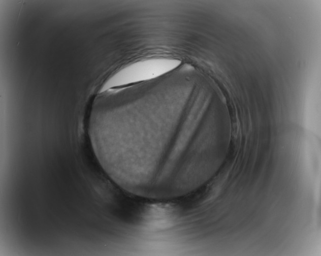 X0000088080508200706081732
