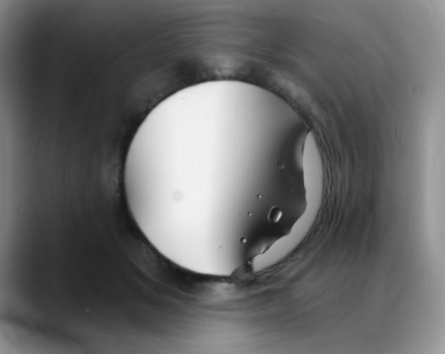 X0000088080509200706081732