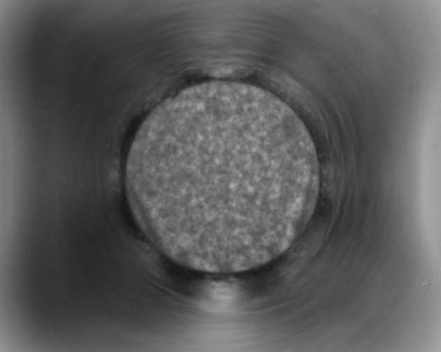 X0000088080510200706081732