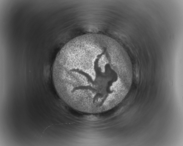 X0000088080511200706081732