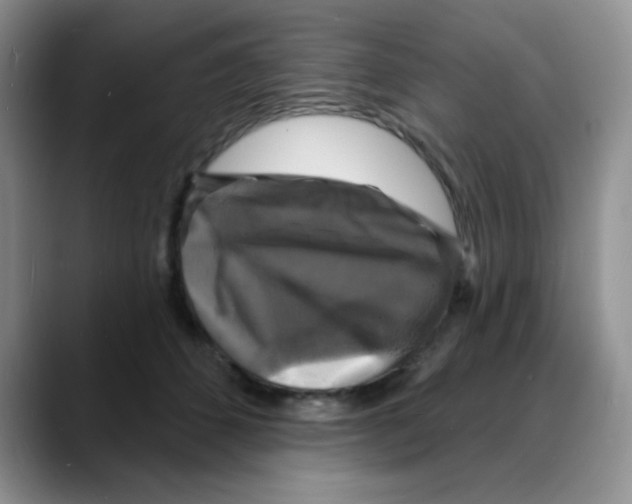 X0000088080512200706081732