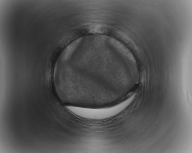 X0000088080513200706081732