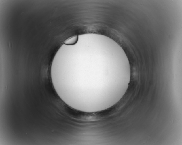 X0000088080514200706081732