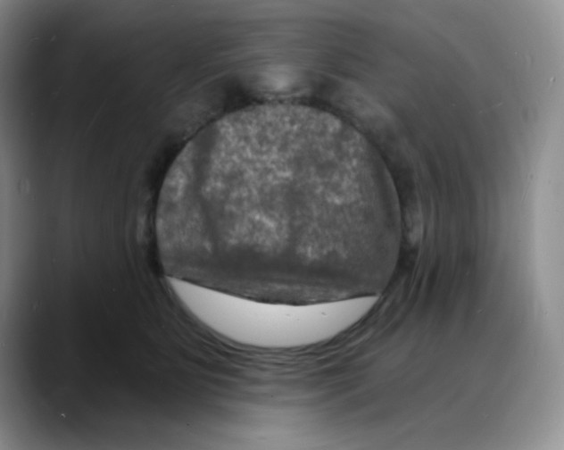 X0000088080515200706081732