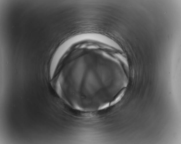 X0000088080516200706081732