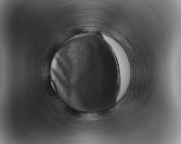 X0000088080517200706081732