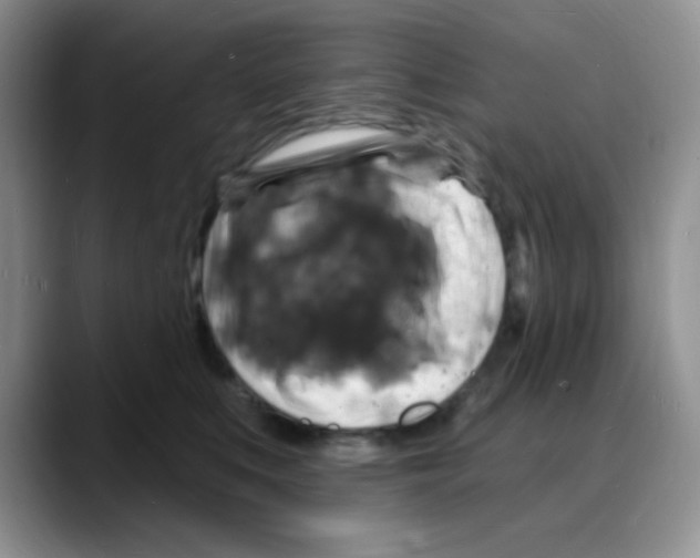 X0000088080519200706081732