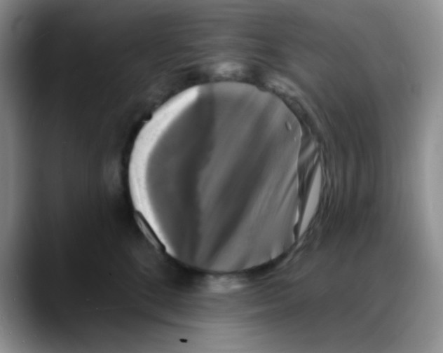 X0000088080520200706081732