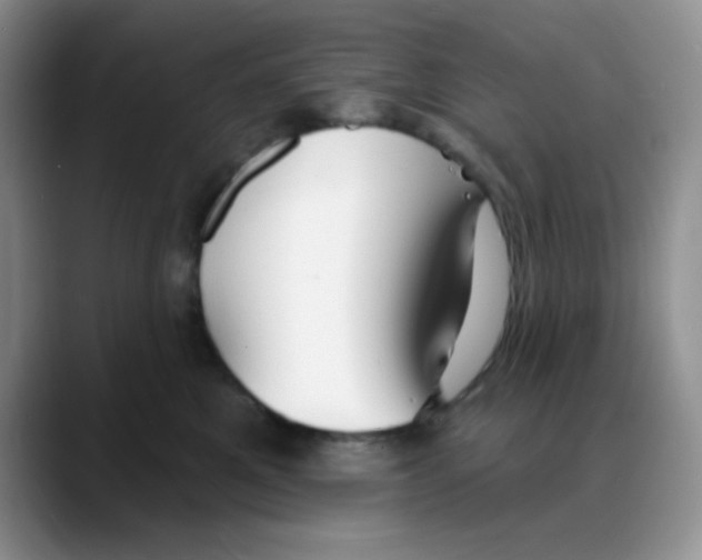 X0000088080521200706081732