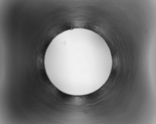 X0000088080522200706081732