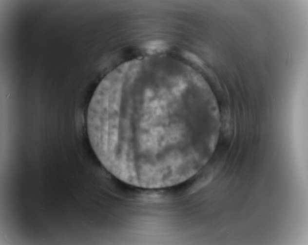 X0000088080523200706081732