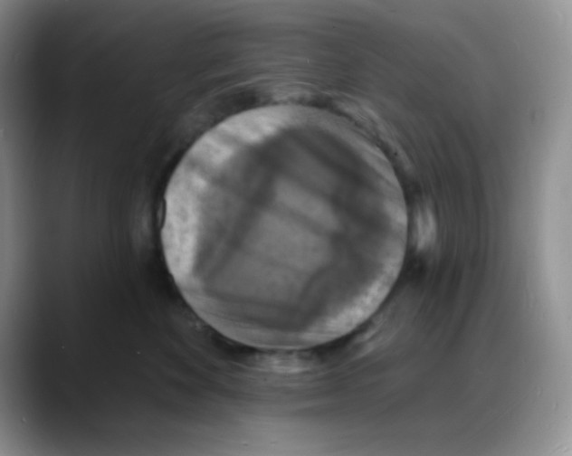X0000088080524200706081732
