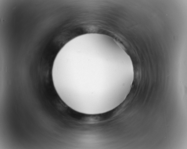 X0000088080525200706081732