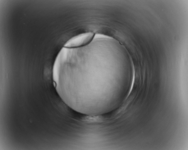 X0000088080526200706081732