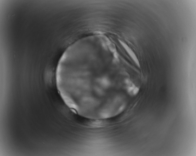 X0000088080527200706081732