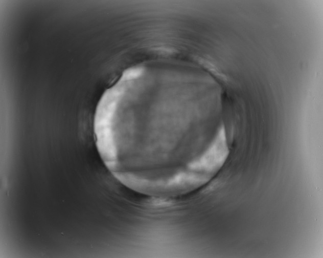 X0000088080528200706081732