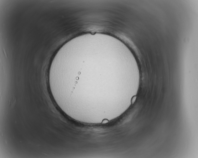 X0000088080529200706081731