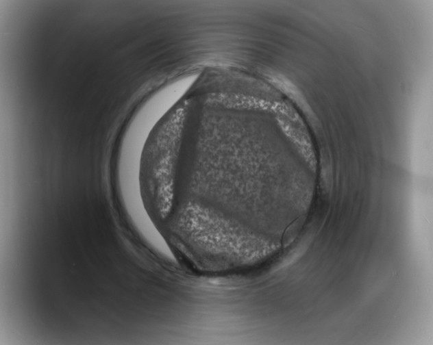 X0000088080530200706081731