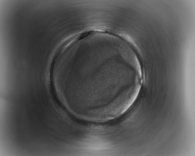 X0000088080531200706081731