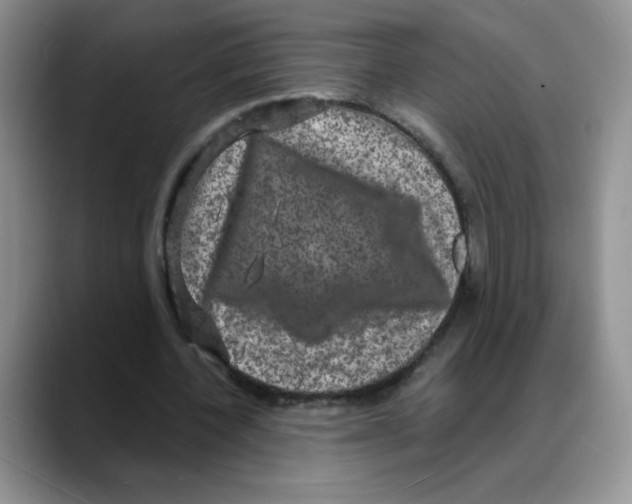 X0000088080532200706081731