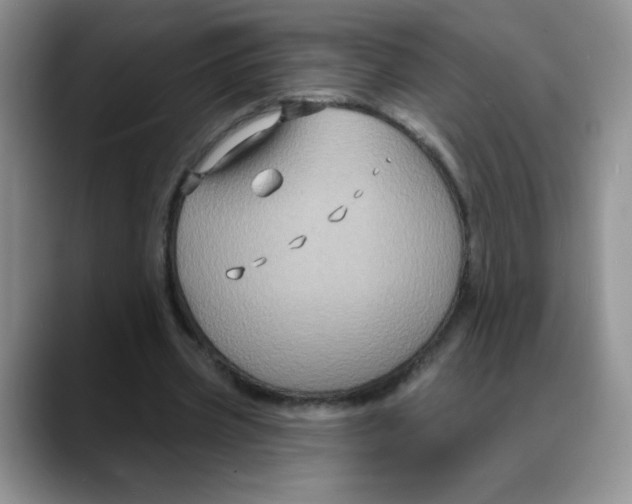X0000088080533200706081731