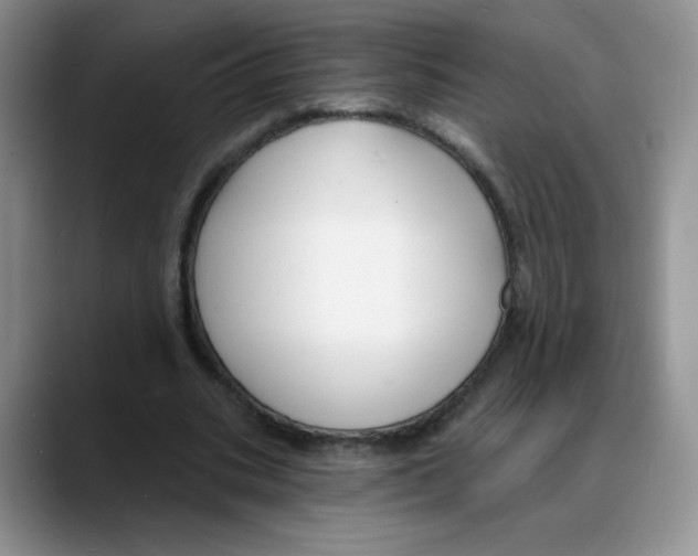 X0000088080535200706081731