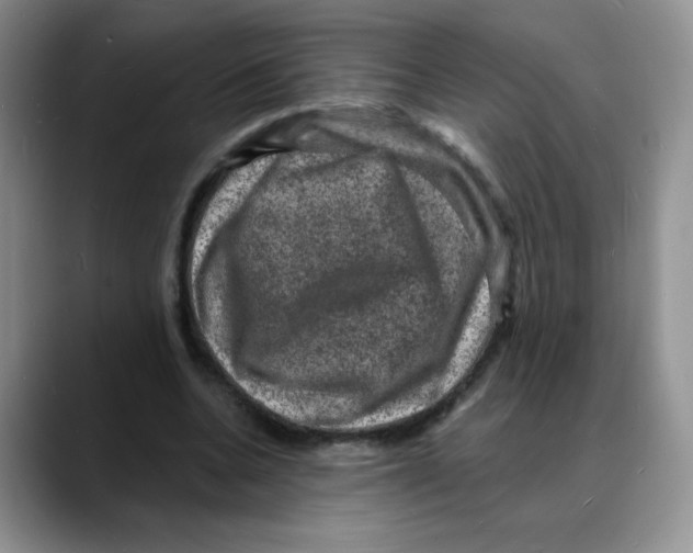 X0000088080536200706081731